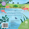 Oiseaux - pour le petit explorateur