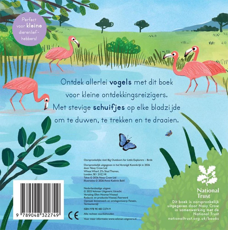 Oiseaux - pour le petit explorateur