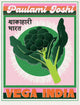 Vega Inde adulte