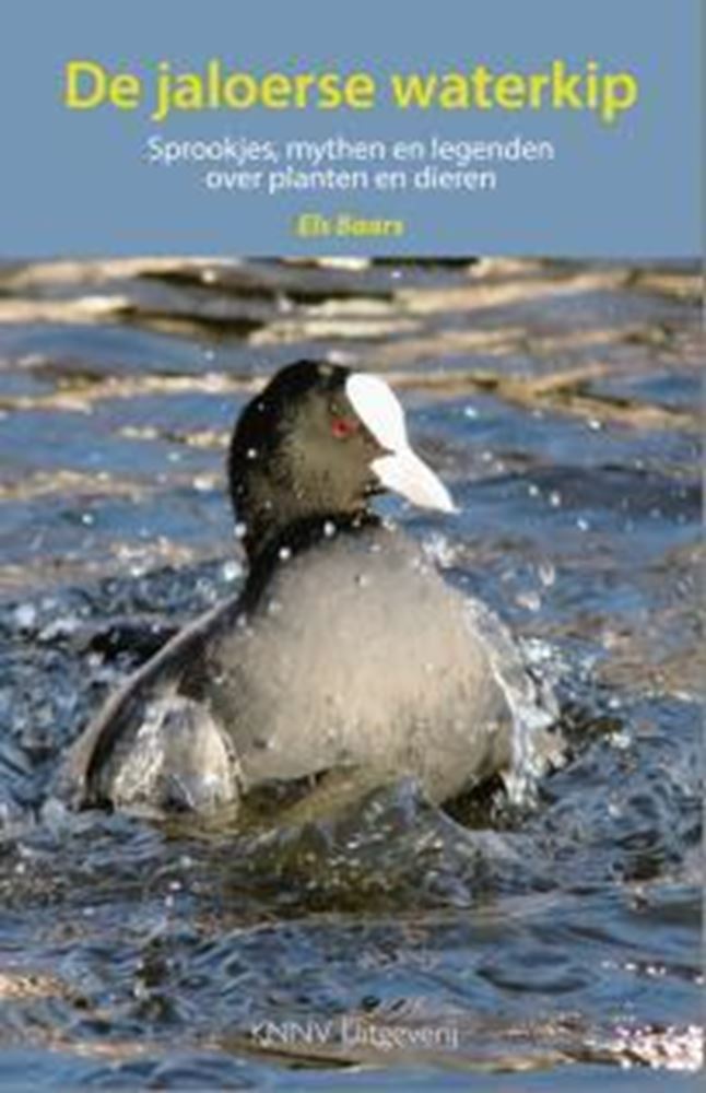 Le poulet d'eau jaloux. contes de fées, mythes