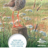 Mini guide des oiseaux des terres agricoles