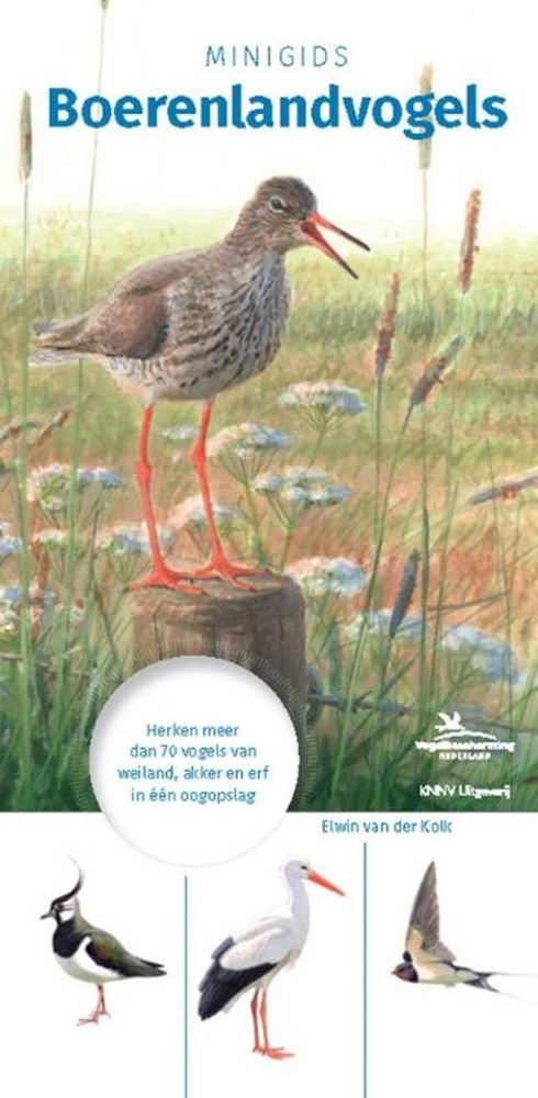 Mini guide des oiseaux des terres agricoles
