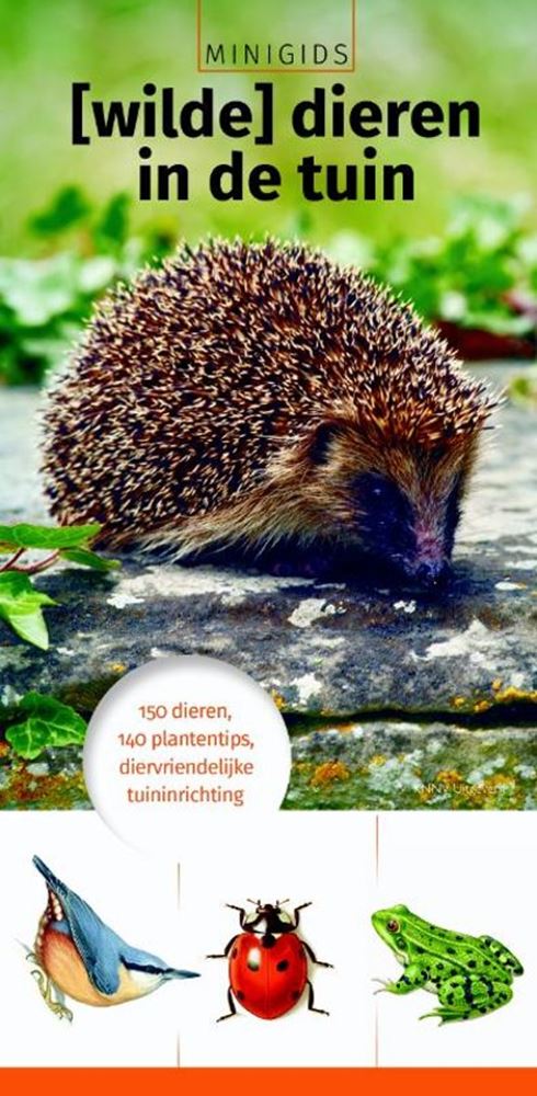 Mini guide : animaux sauvages du jardin