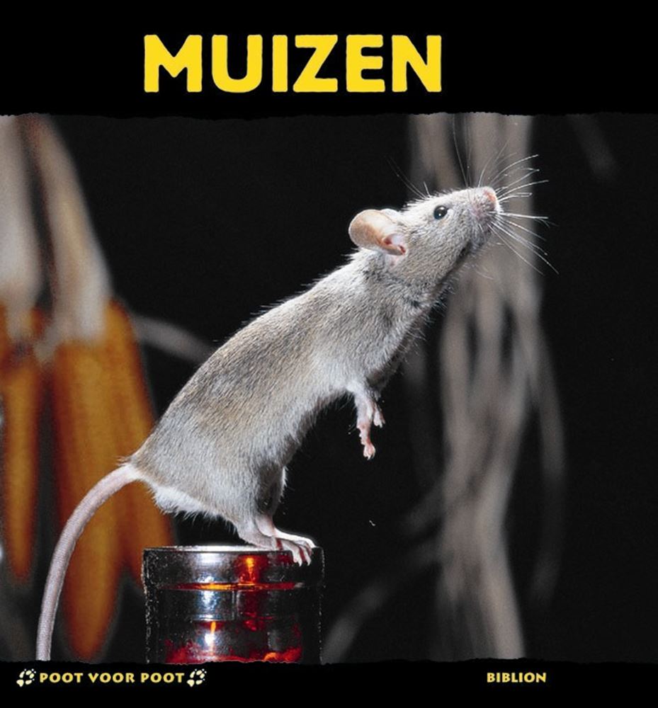 Patte par patte : les souris. 8+