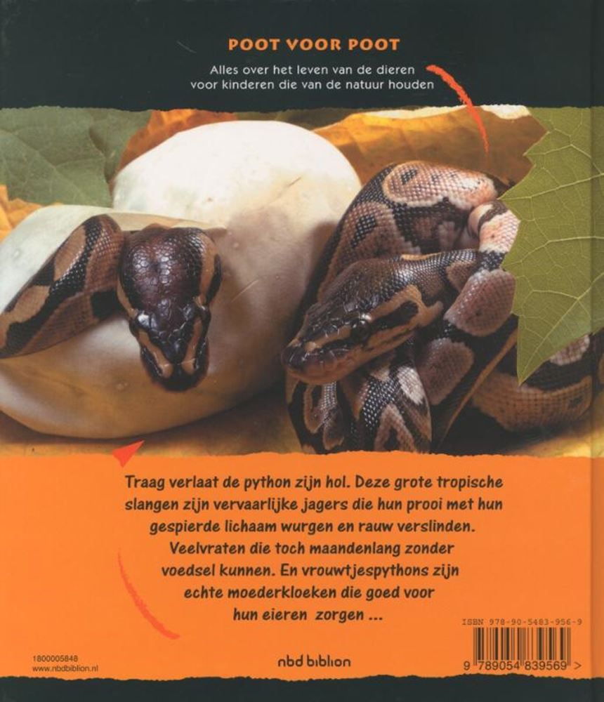 Patte par patte : les pythons. 8+