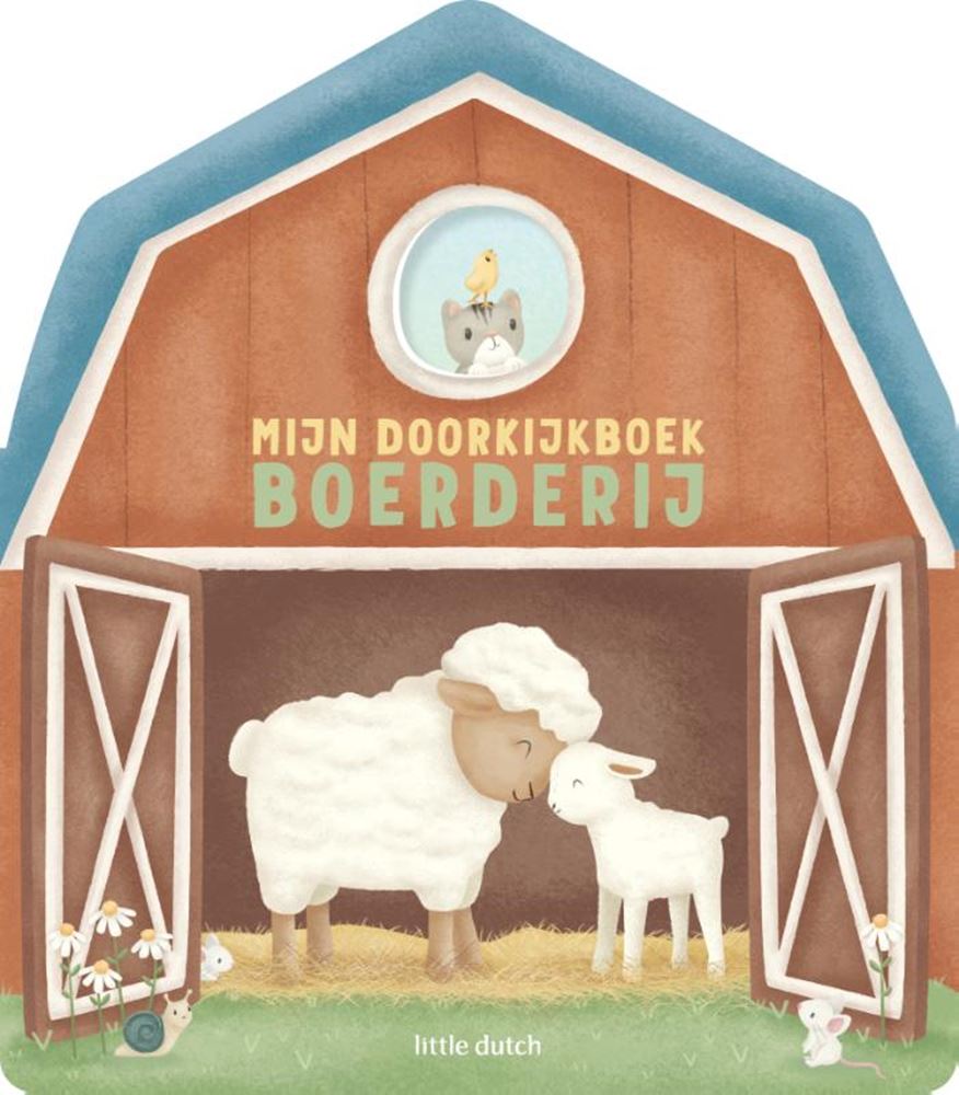 Book Little Dutch, mon livre transparent