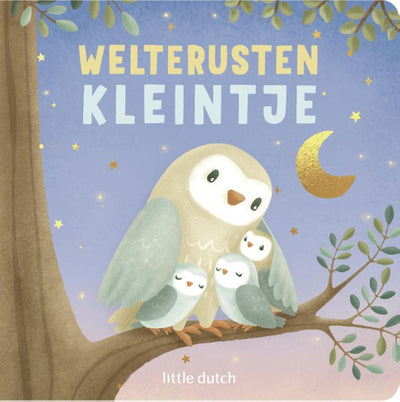Livre Little Dutch, bonne nuit, petit