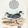 Racines. livre nature oiseaux. 8+