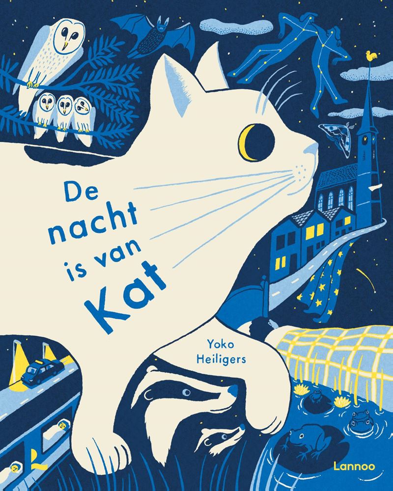 Livre d'images : la nuit appartient au chat 5+