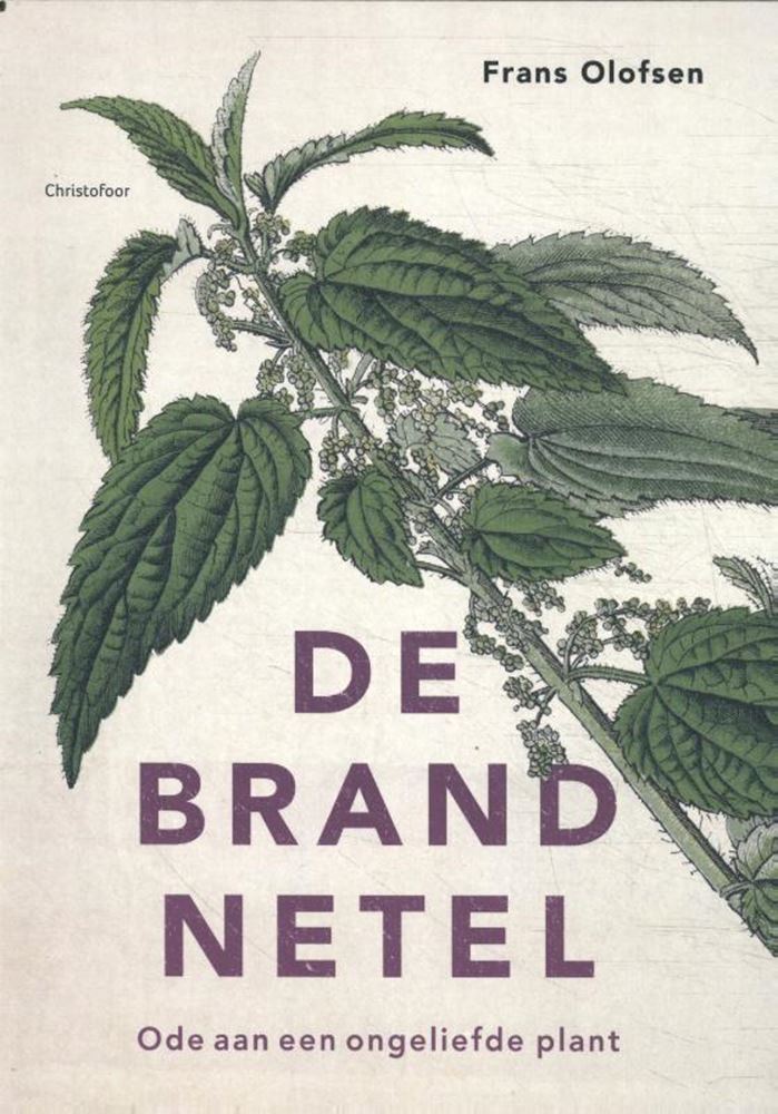 L'ortie. ode à un pl mal-aimé