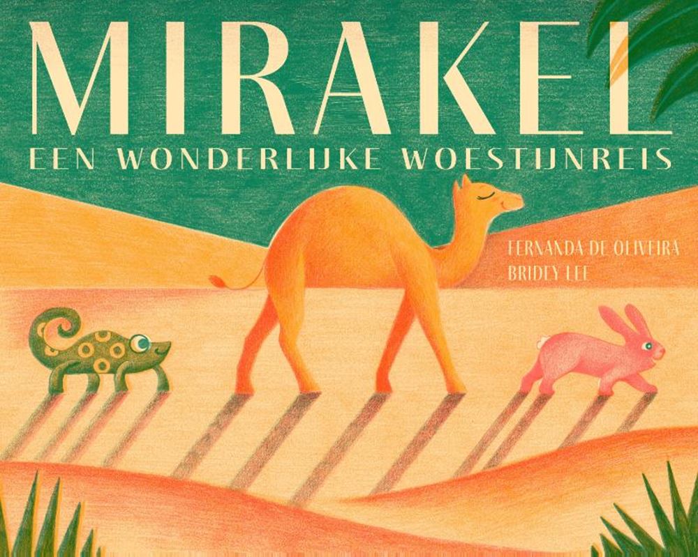 Livre d'images: miracle 4+