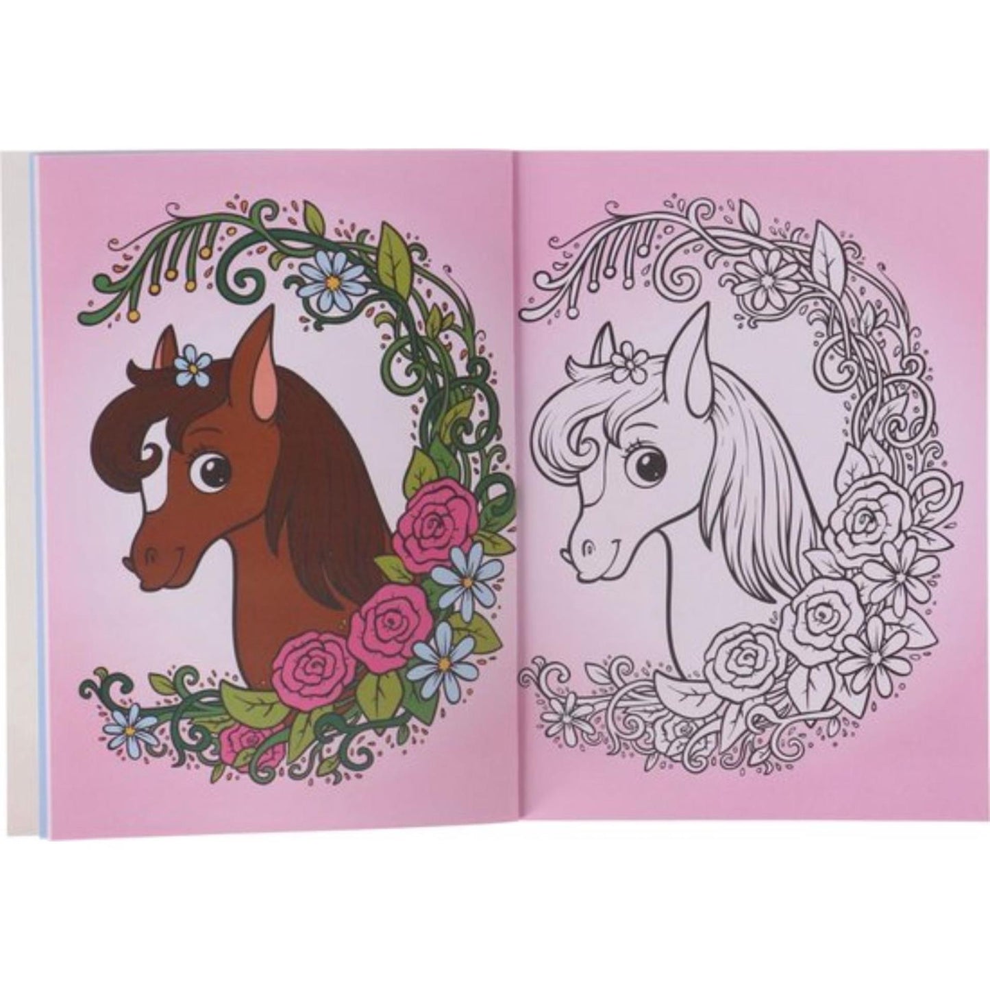 Mon plus beau livre de coloriage animal, 48pag.