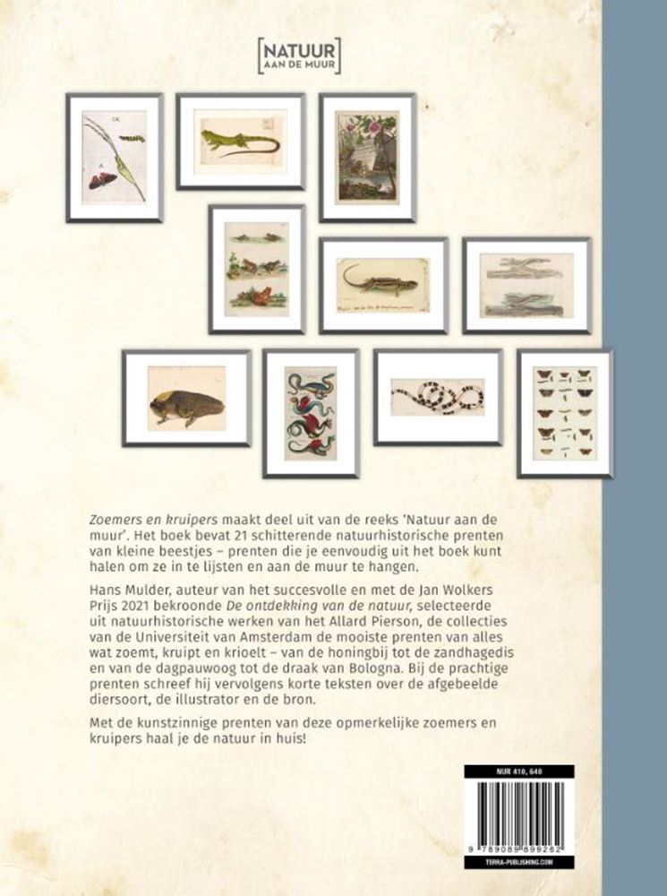 La nature sur le mur, les buzzers et les chenilles.