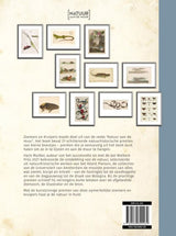 La nature sur le mur, les buzzers et les chenilles. - afbeelding 2