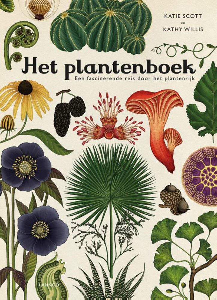 Le livre des plantes. 8+