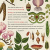 Le livre des plantes. 8+
