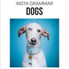 Instagrammar : chiens