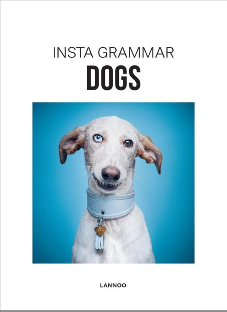 Instagrammar : chiens