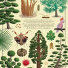 Cartes orales Le grand livre d'arbre