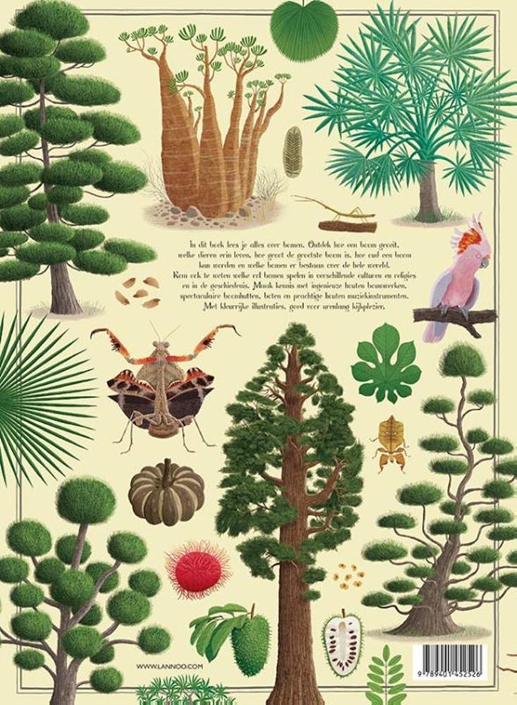 Cartes orales Le grand livre d'arbre