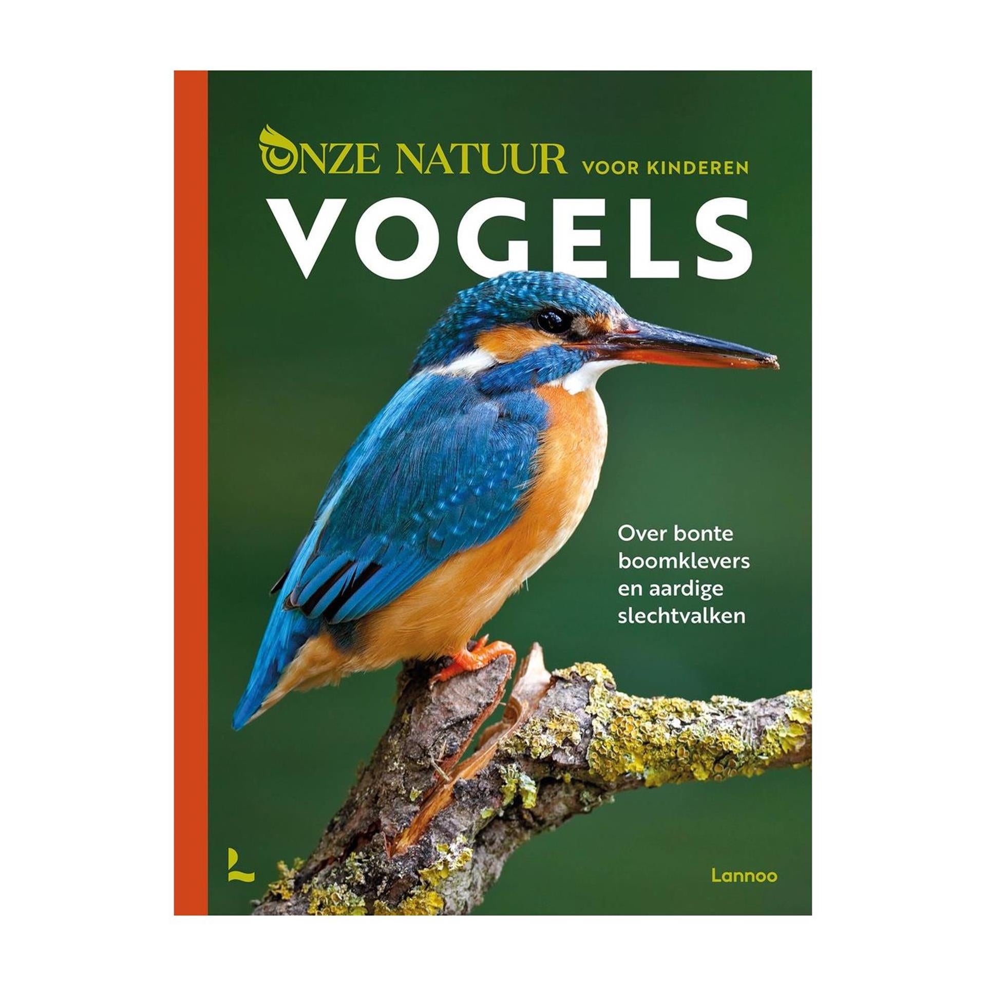 Mondi cartes notre nature pour les enfants - oiseaux