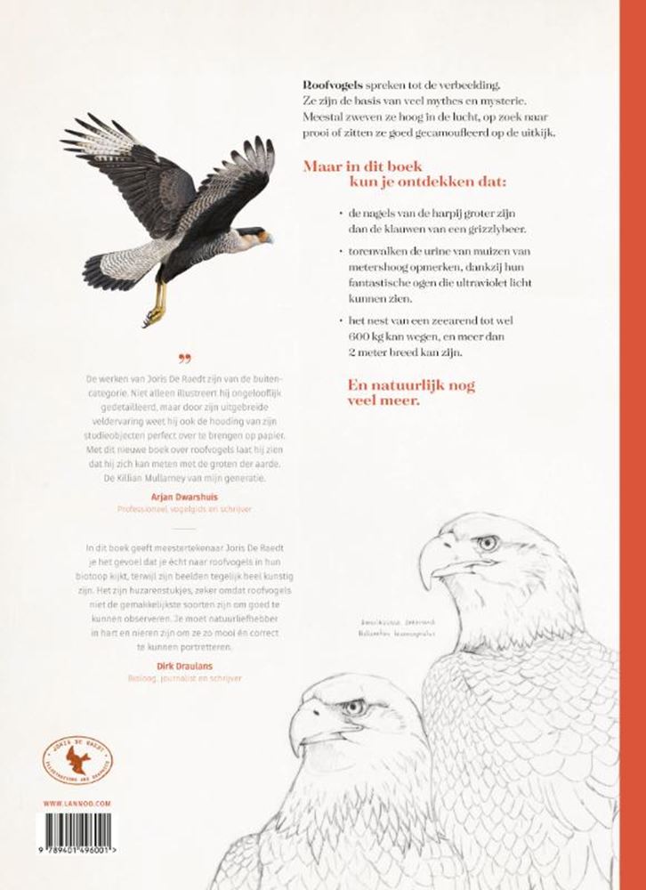 Oiseaux de proie 9+