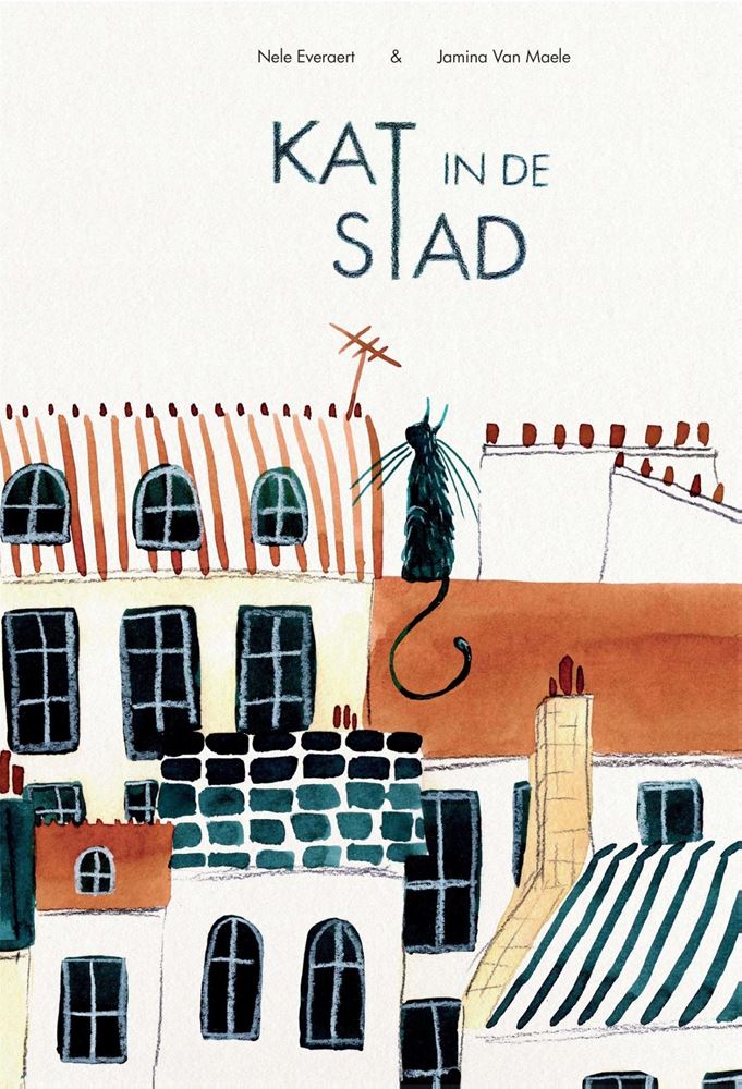 Chat en ville 5+