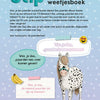 Dot - 101 faits et histoires de poneys 5+