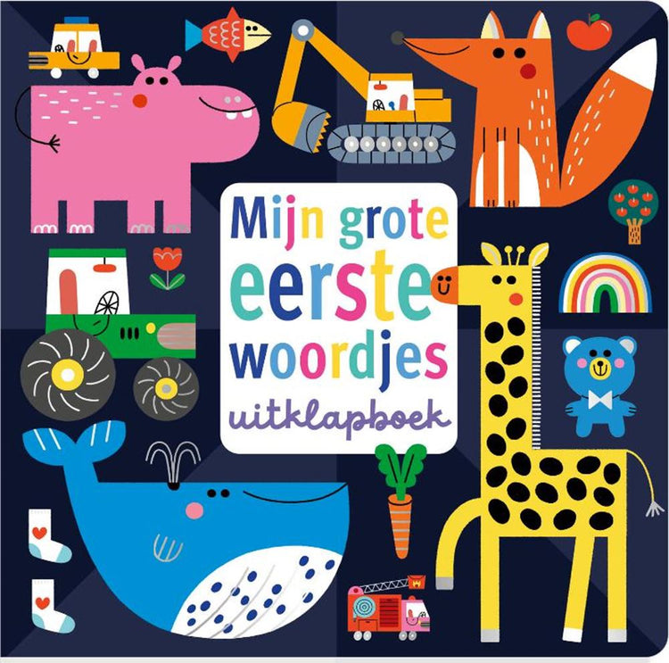 Mon livre pop-up mes premiers mots.