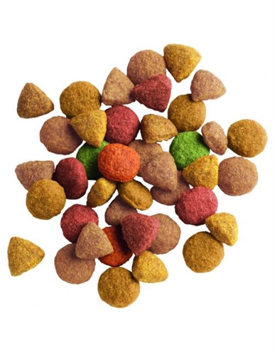 Lara Poulet de dinde de volaille adulte