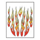 Jeu d'autocollants flammes 911