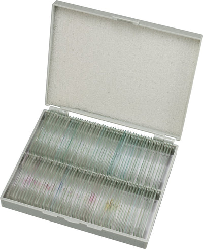 Préparations Bresser - pré-préparées - adaptées aux microscopes transparents - 100 pièces - microbiologie biologie cellulaire