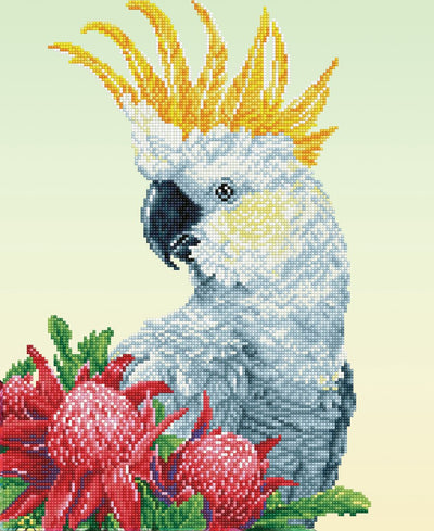 Diamond dotz® Peinture diamant adultes - Pierres rondes - Paquet complet - Hobby - - dd10.059 - Animaux - Warathas cacatoès blanc 51 x 41 cm
