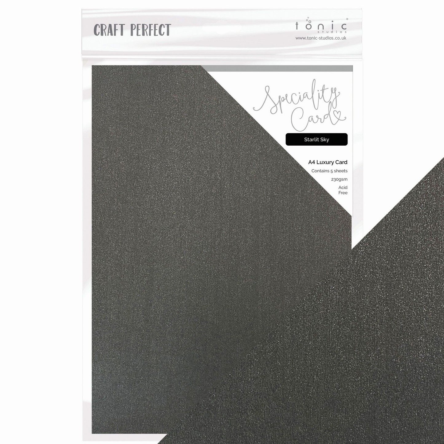 Craft Perfect par Tonic Studios Craft Perfect • Carte spéciale de magie de Noël Ciel étoilé
