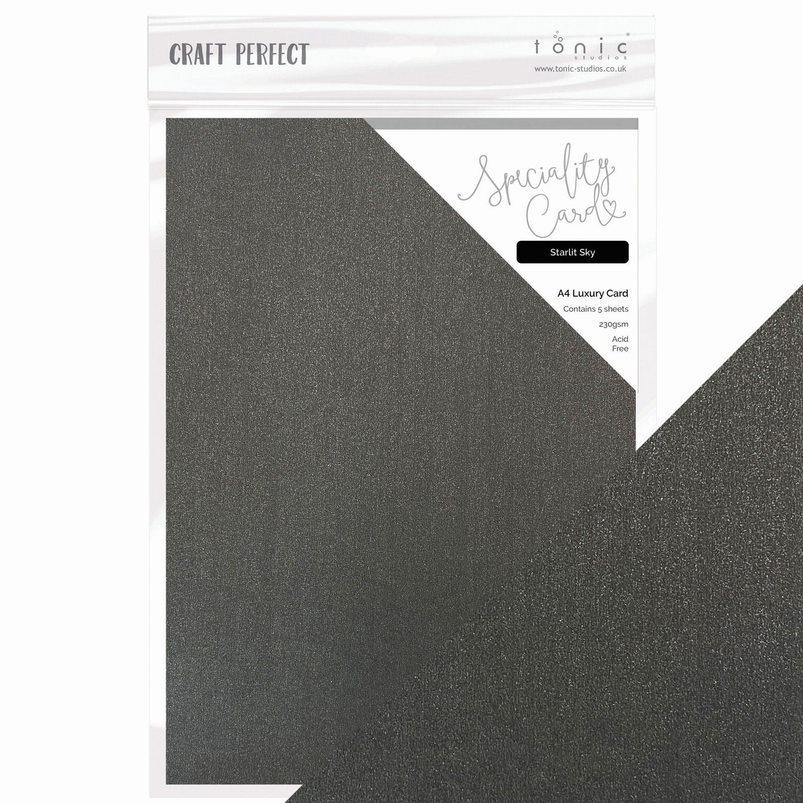 Craft Perfect par Tonic Studios Craft Perfect • Carte spéciale de magie de Noël Ciel étoilé
