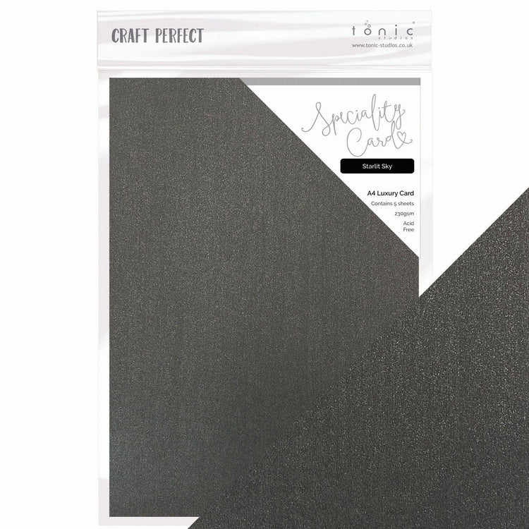 Craft Perfect par Tonic Studios Craft Perfect • Carte spéciale de magie de Noël Ciel étoilé