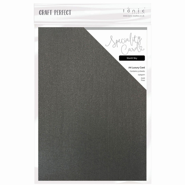 Craft Perfect par Tonic Studios Craft Perfect • Carte spéciale de magie de Noël Ciel étoilé