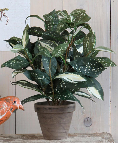 Mica decorations cordyline plante artificielle - vert - h33 cm x d25 cm - pot décoratif gris - plante d'intérieur - plantes artificielles fausses plantes
