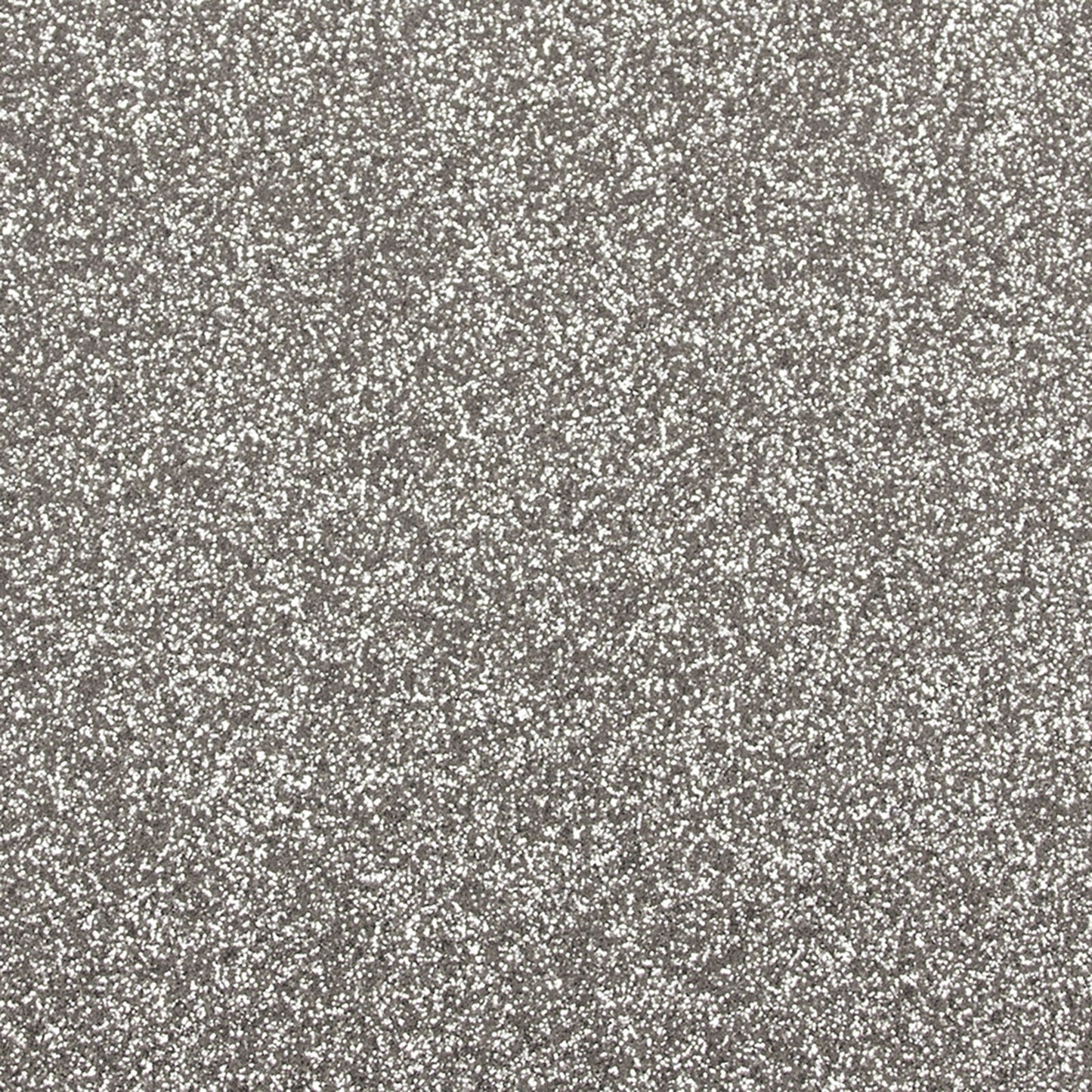 Craft Perfect par Tonic Studios Craft Perfect • paillettes A4 5 feuilles 250 g écran argenté