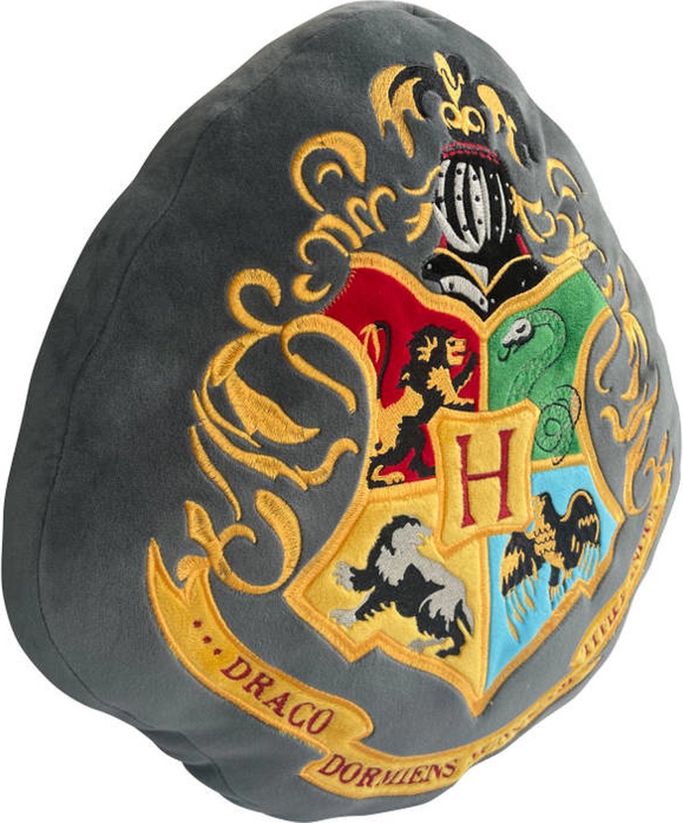 Wtt coussin Harry Potter en forme