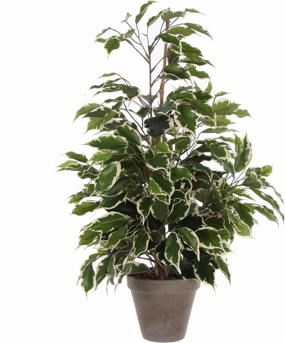 Mica décorations plante artificielle ficus - vert blanc - 65 cm - intérieur - plantes artificielles fausses plantes plantes d'intérieur