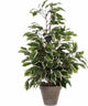 Mica décorations plante artificielle ficus - vert blanc - 65 cm - intérieur - plantes artificielles fausses plantes plantes d'intérieur