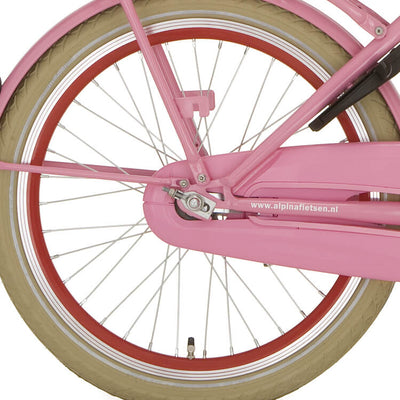 Roue arrière alpina 20 Retirer J19SG Red Zinc Spk
