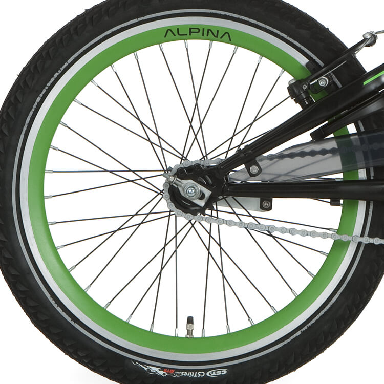 Roue arrière alpina 20 Retirer J19DB Green Black Spk