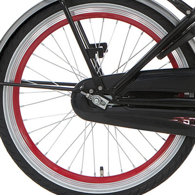Roue arrière alpina 20 Retirer J19SG Red Zinc Spk