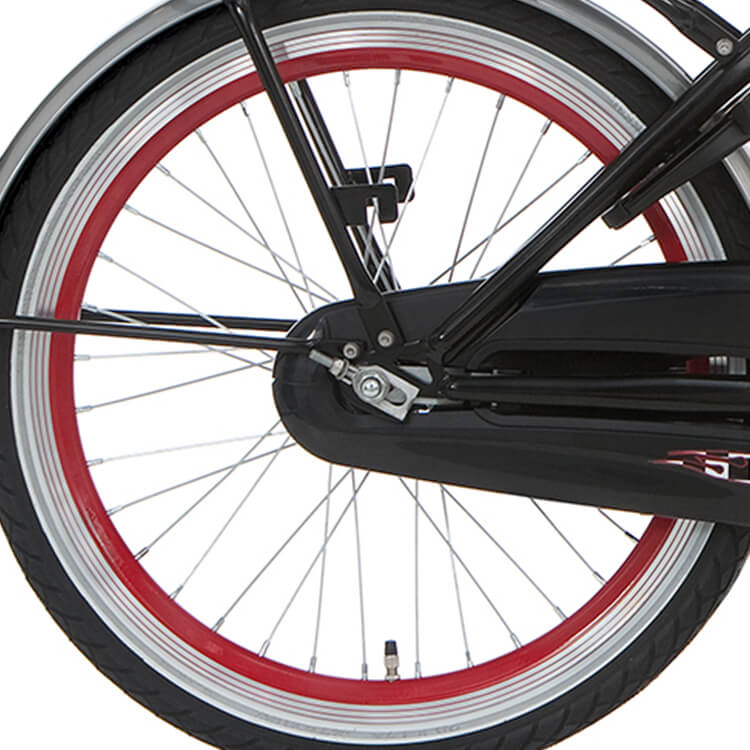 Roue arrière alpina 20 Retirer J19SG Red Zinc Spk