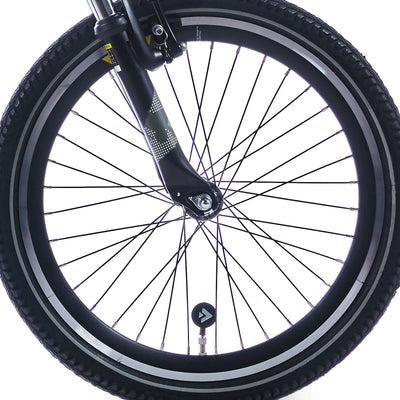 Alpina Front Roue 22 Hlqc Trail Black SW SPK