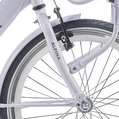 Alpina Fork 20 Clubb Frosty Pink Matt