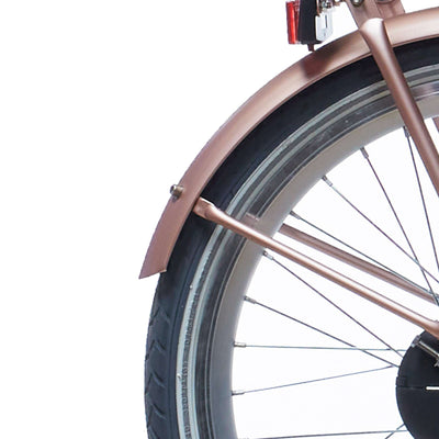 Set Alpina Fortboard + Rang 22 Clubb Rose Gold Matt
