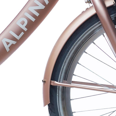 Set Alpina Fortboard + Rang 22 Clubb Rose Gold Matt